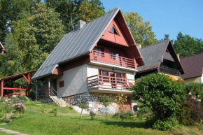 Cottage IRENA in Giant Mountains Černý Důl